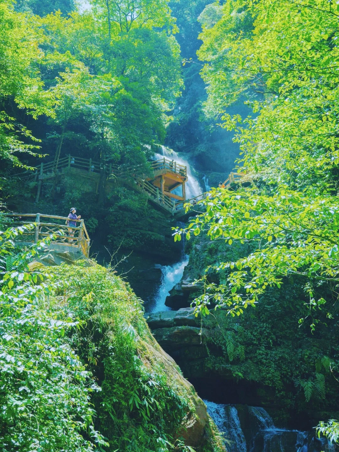 四川秋假，这些景区限时免门票（二）🐼