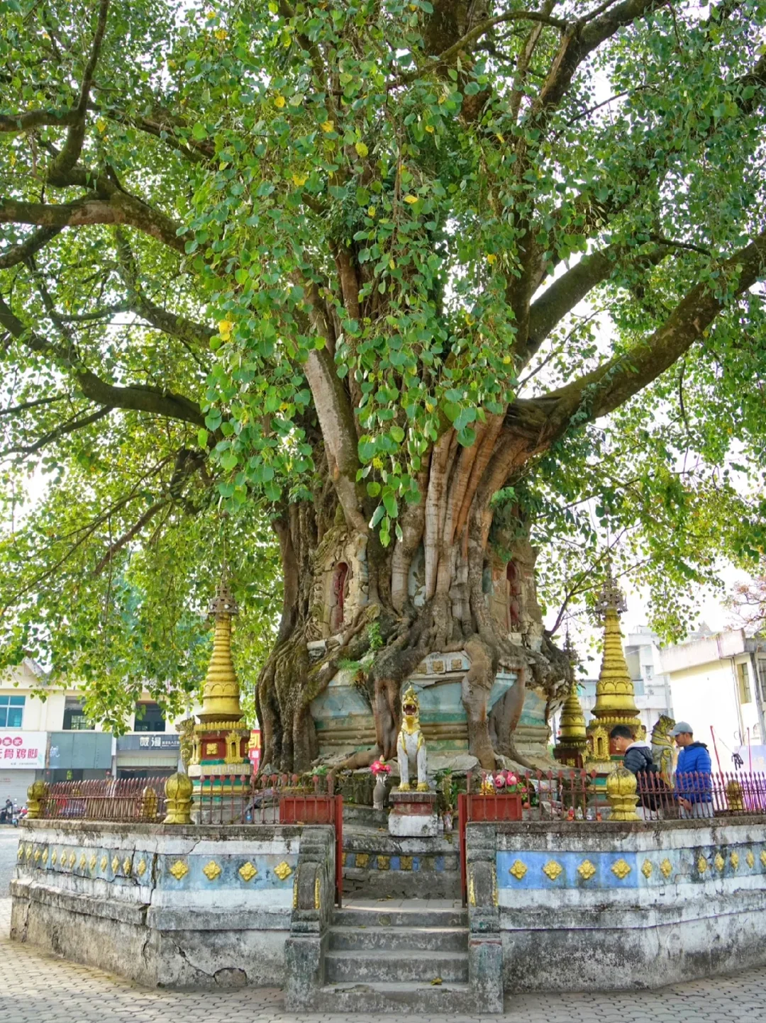 云南|腾冲+瑞丽+芒市8天旅游攻略✅