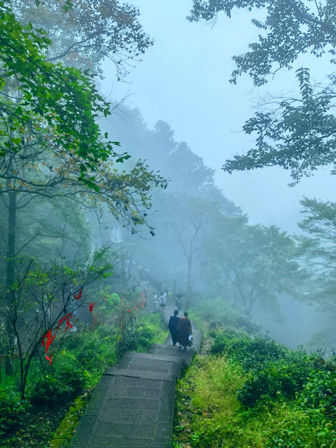 这座被严重低估的仙山，居然就在黄山边上❗