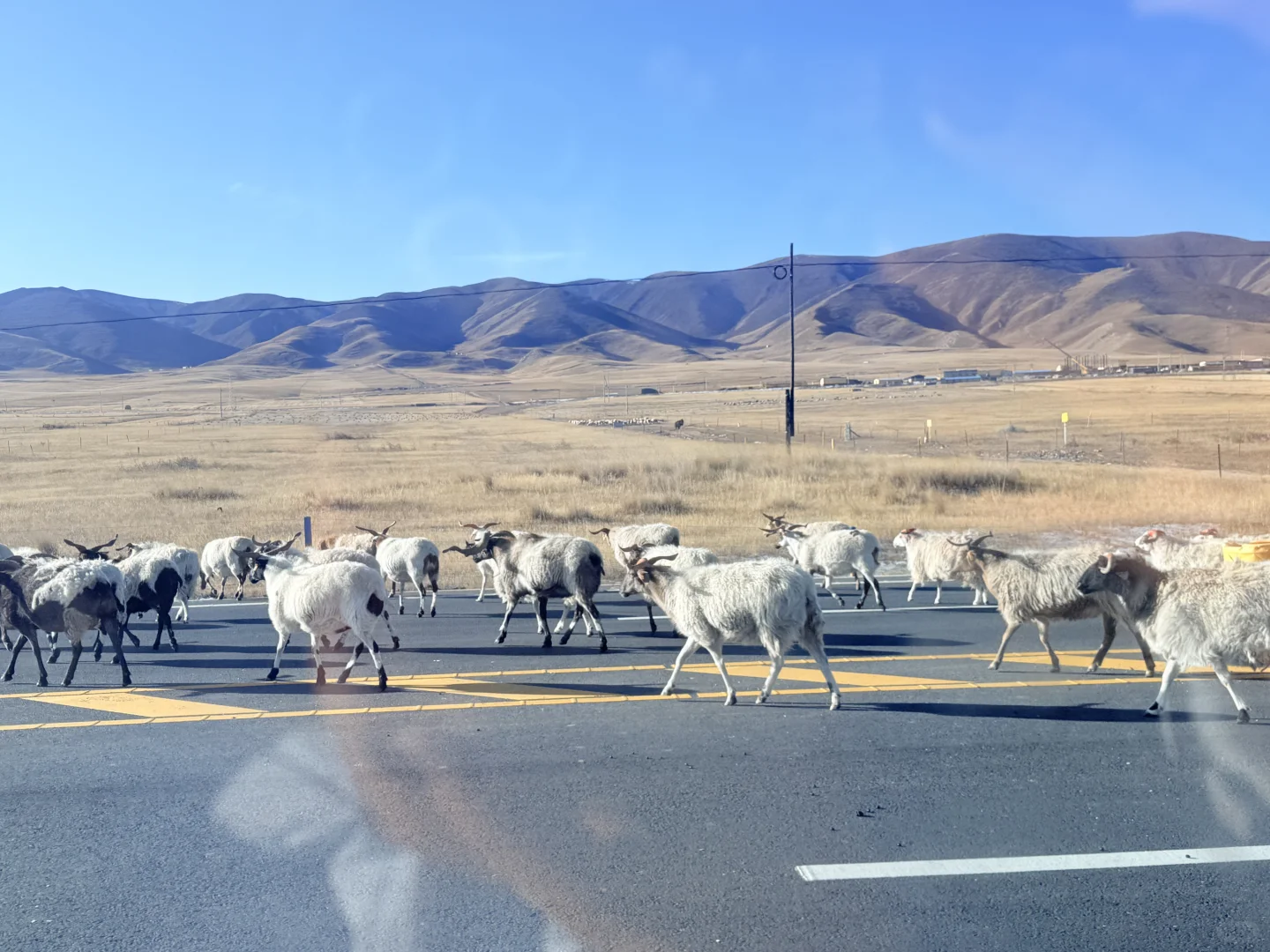 来了！真的好美～