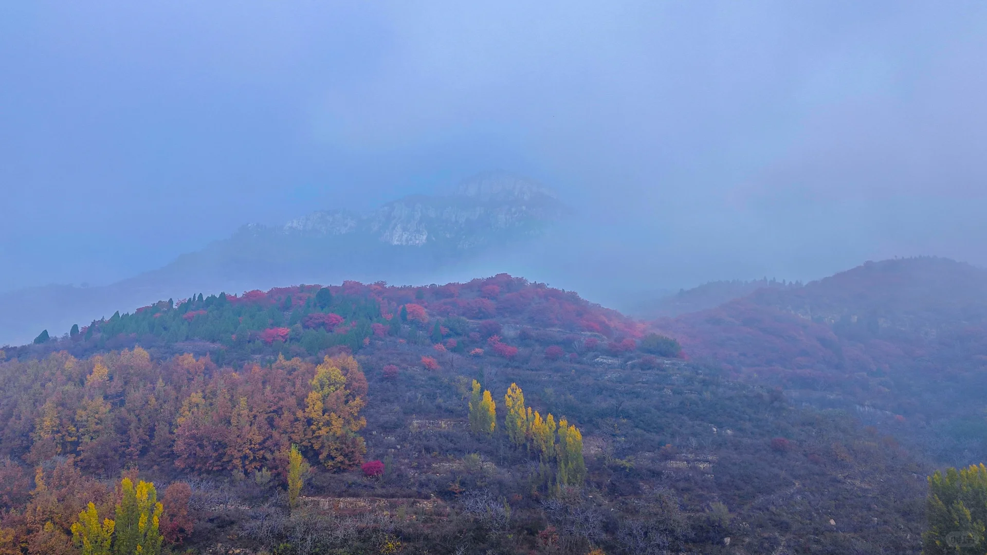 秋日绝美必去路线，济南小漓江红叶全攻略