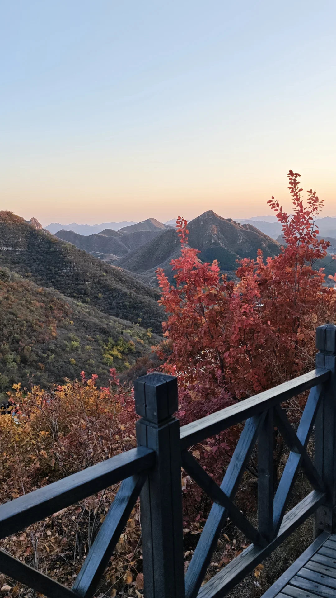 📢实时播报：媳妇岭的红叶已经红啦