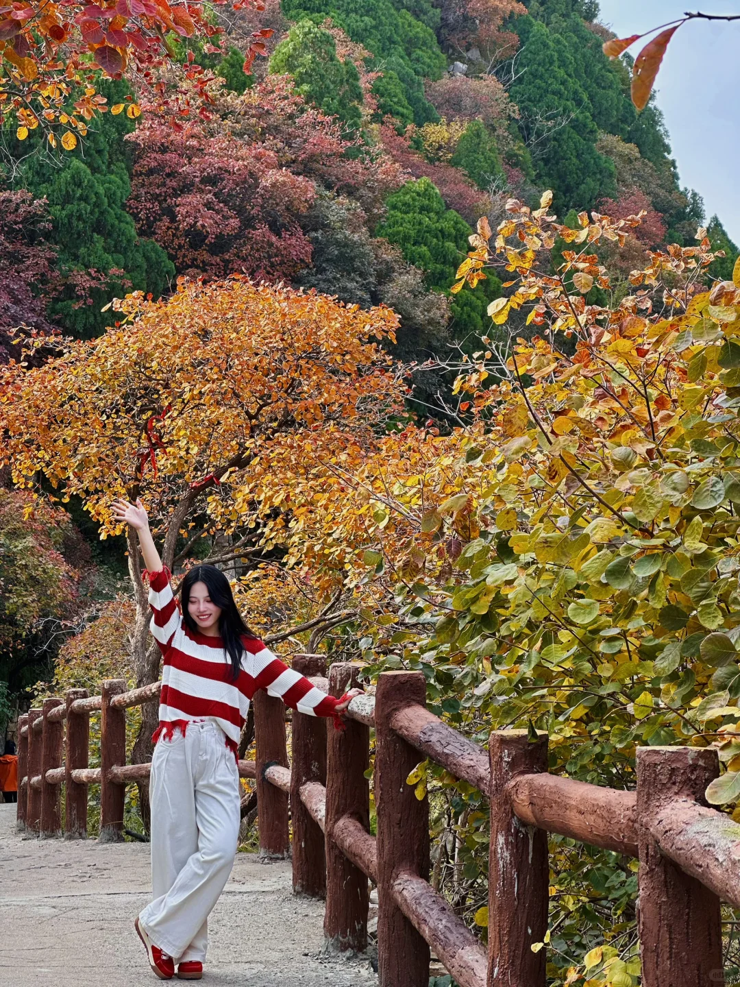 10.27实况！！石门坊红叶浓度已达99.999%