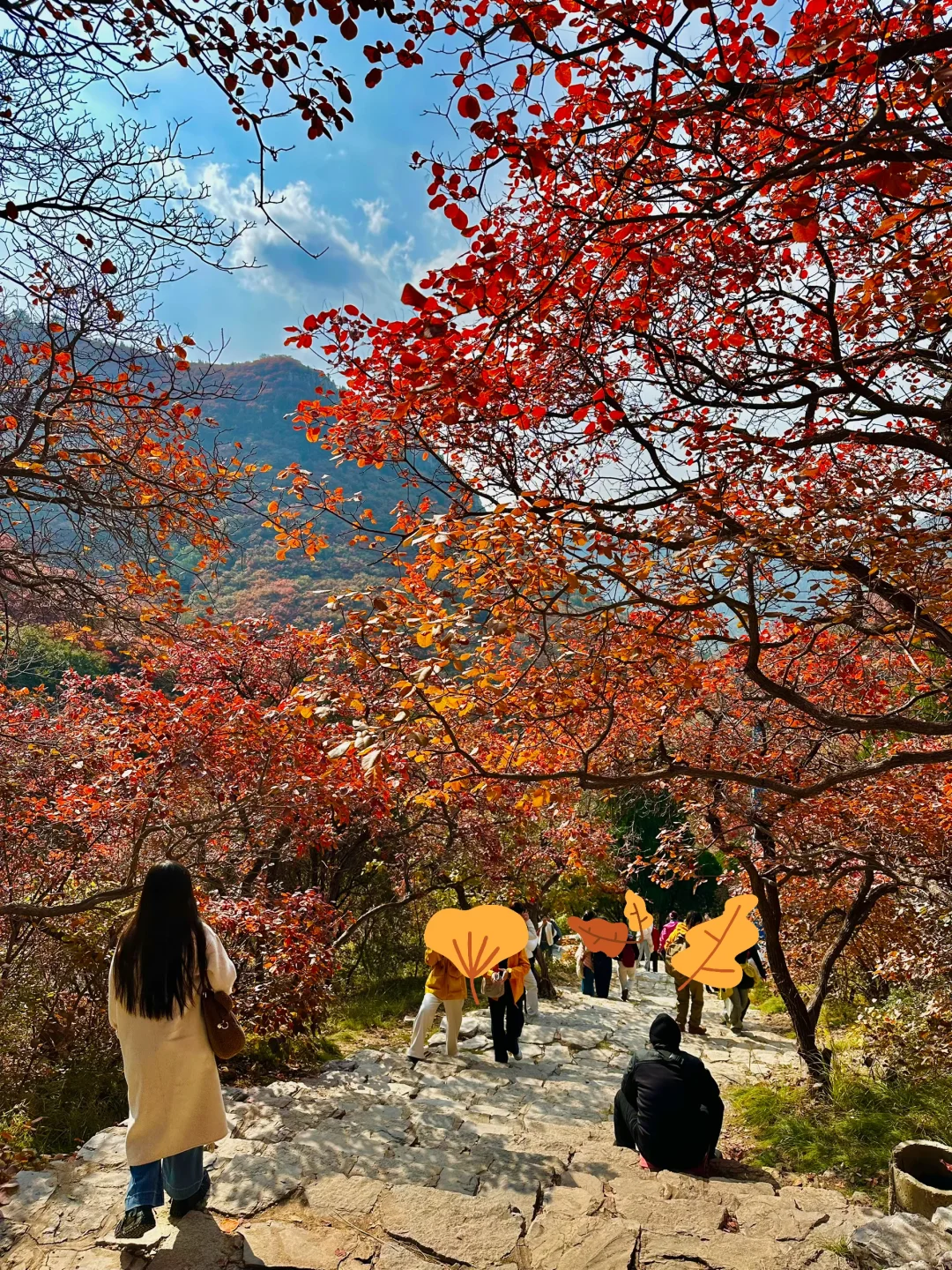 10.27实况！！石门坊红叶浓度已达99.999%