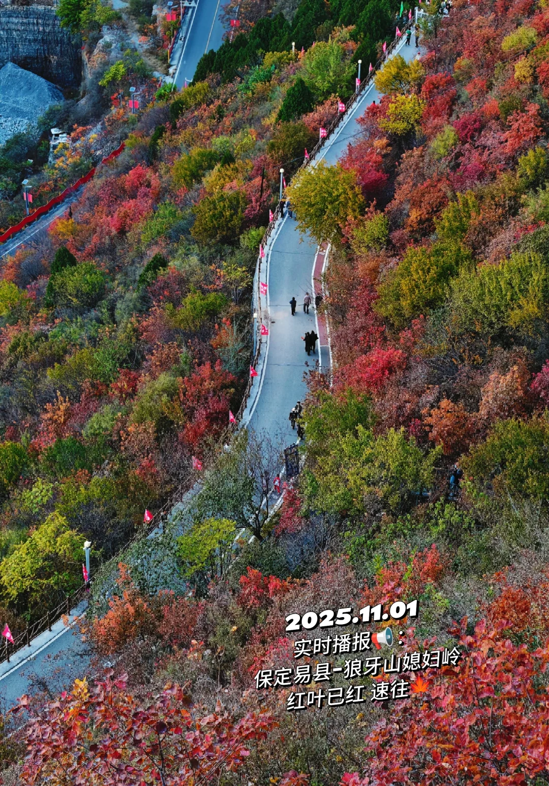 📢实时播报：媳妇岭的红叶已经红啦