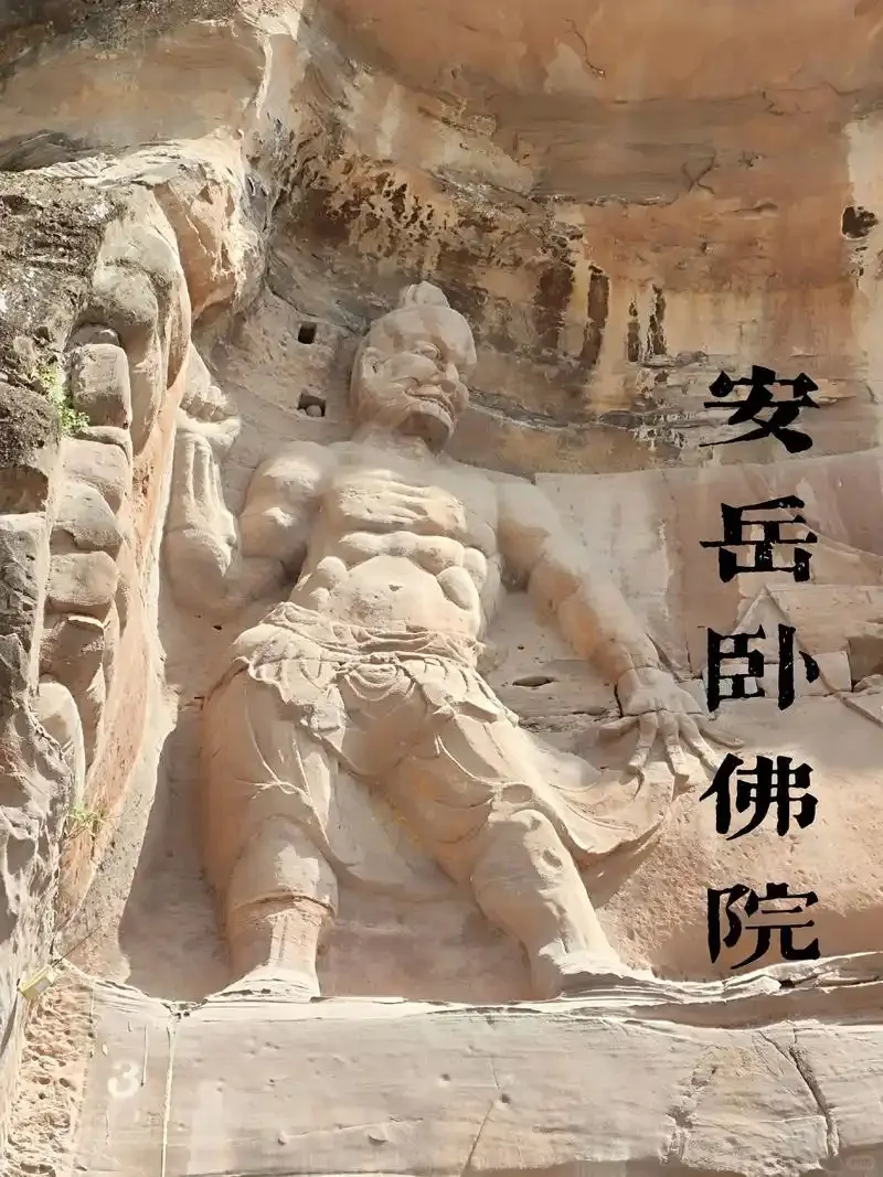 四川秋假，这些景区限时免门票（二）🐼