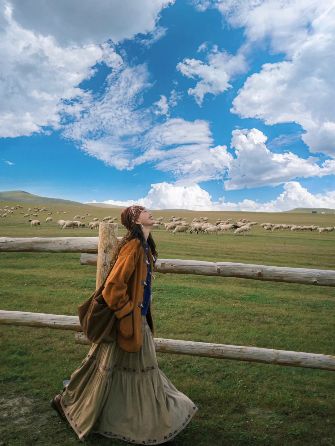 内蒙古莫日格勒河｜原来秋天能有这么多颜色