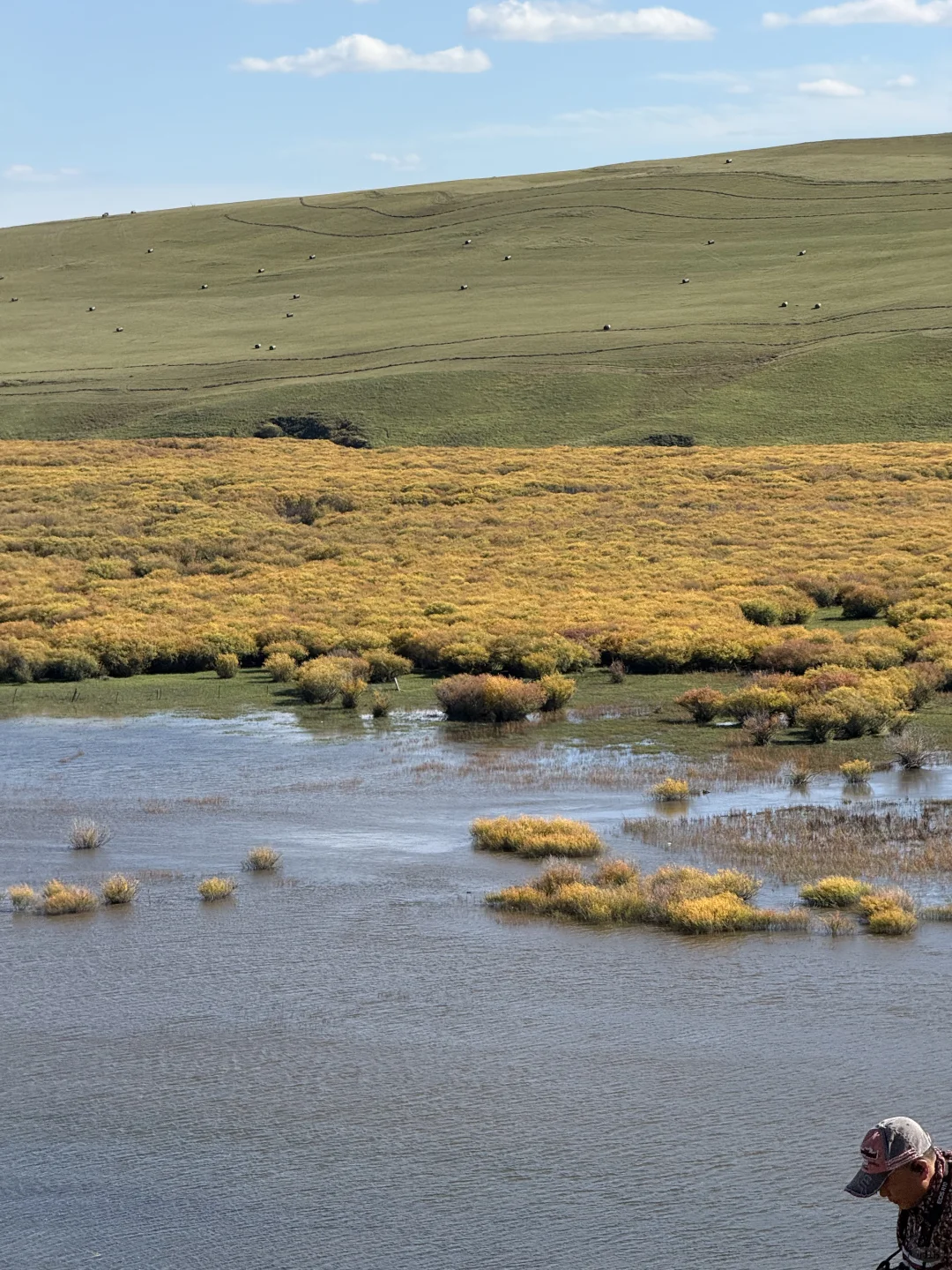 内蒙古莫日格勒河｜原来秋天能有这么多颜色