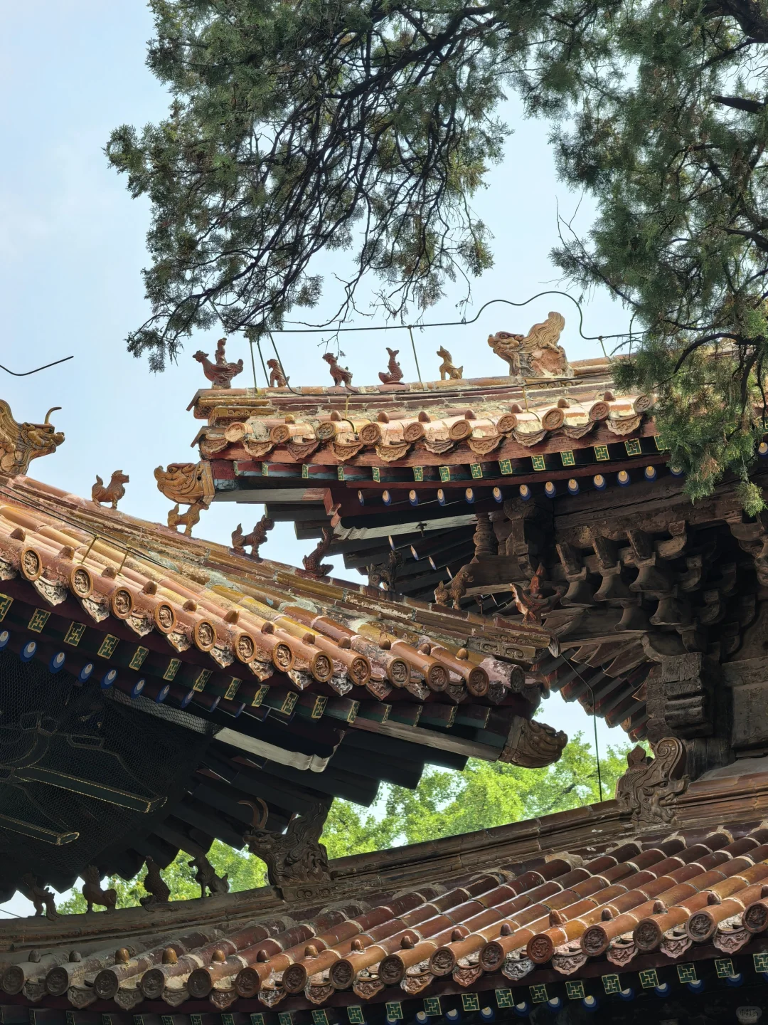 曲阜三孔攻略|不绕路、不踩坑,一篇就够❗