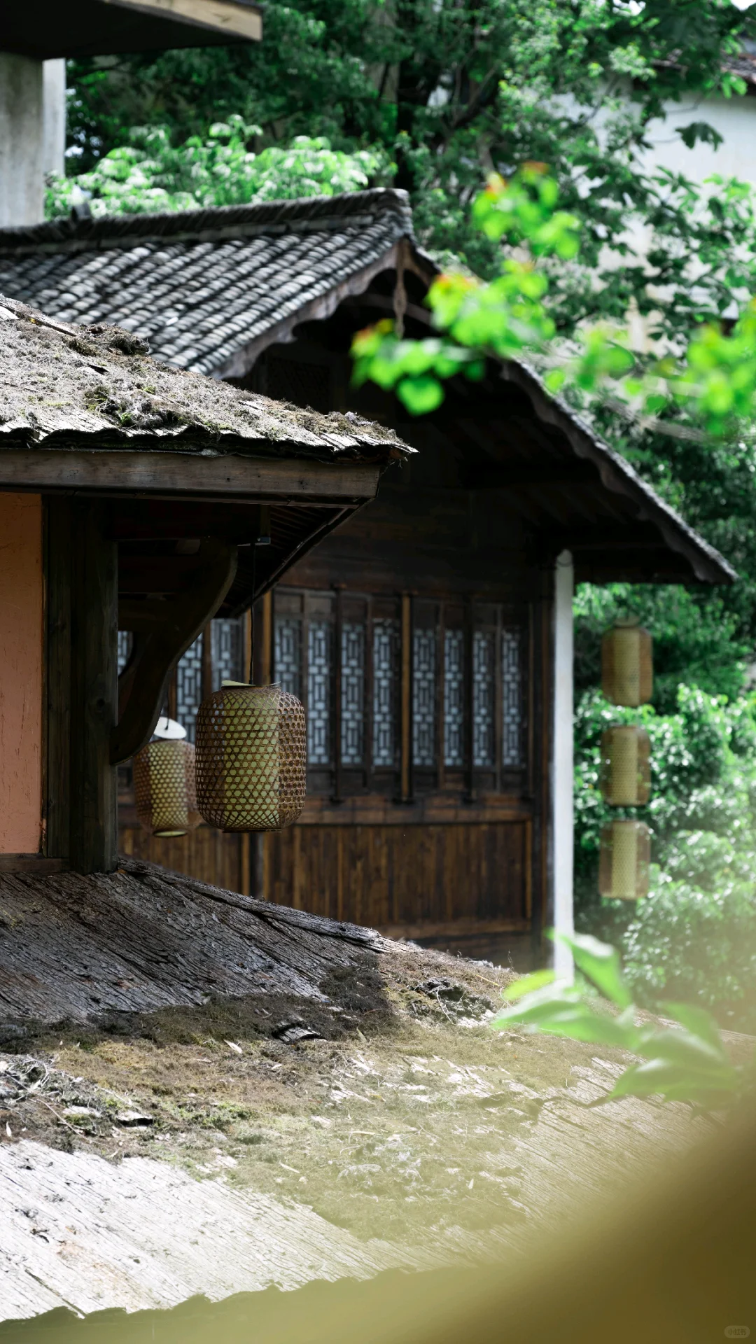 不卷晒秋了！4月的婺源 比想象更出片📸
