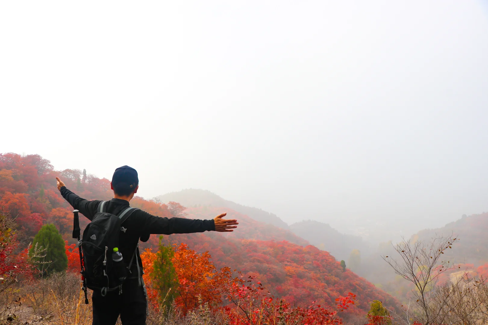 秋日绝美必去路线，济南小漓江红叶全攻略