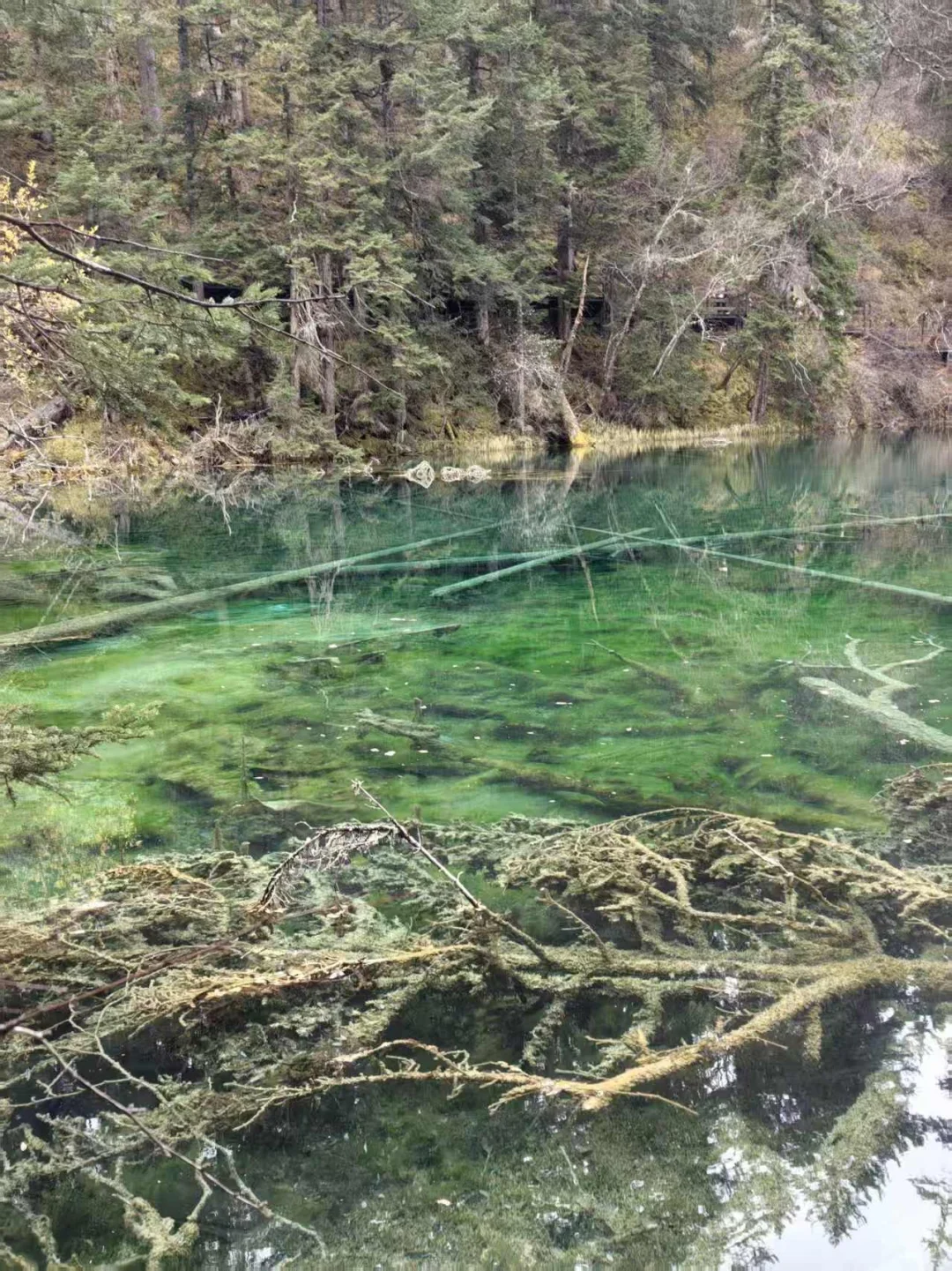 九寨沟县神仙池景区（二）