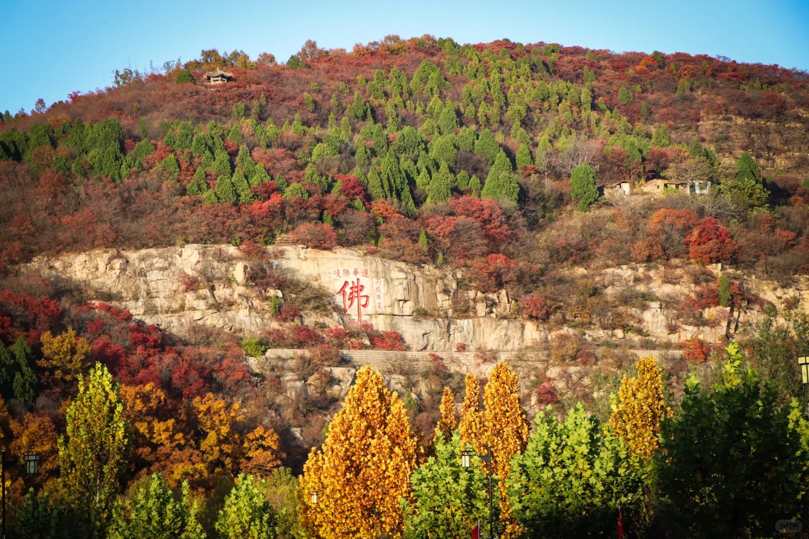 秋日绝美必去路线，济南小漓江红叶全攻略
