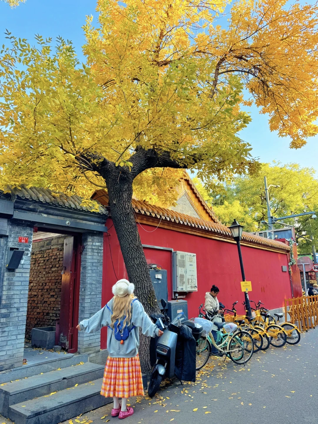 为了这18张图奔赴北平的秋天!📍附位置