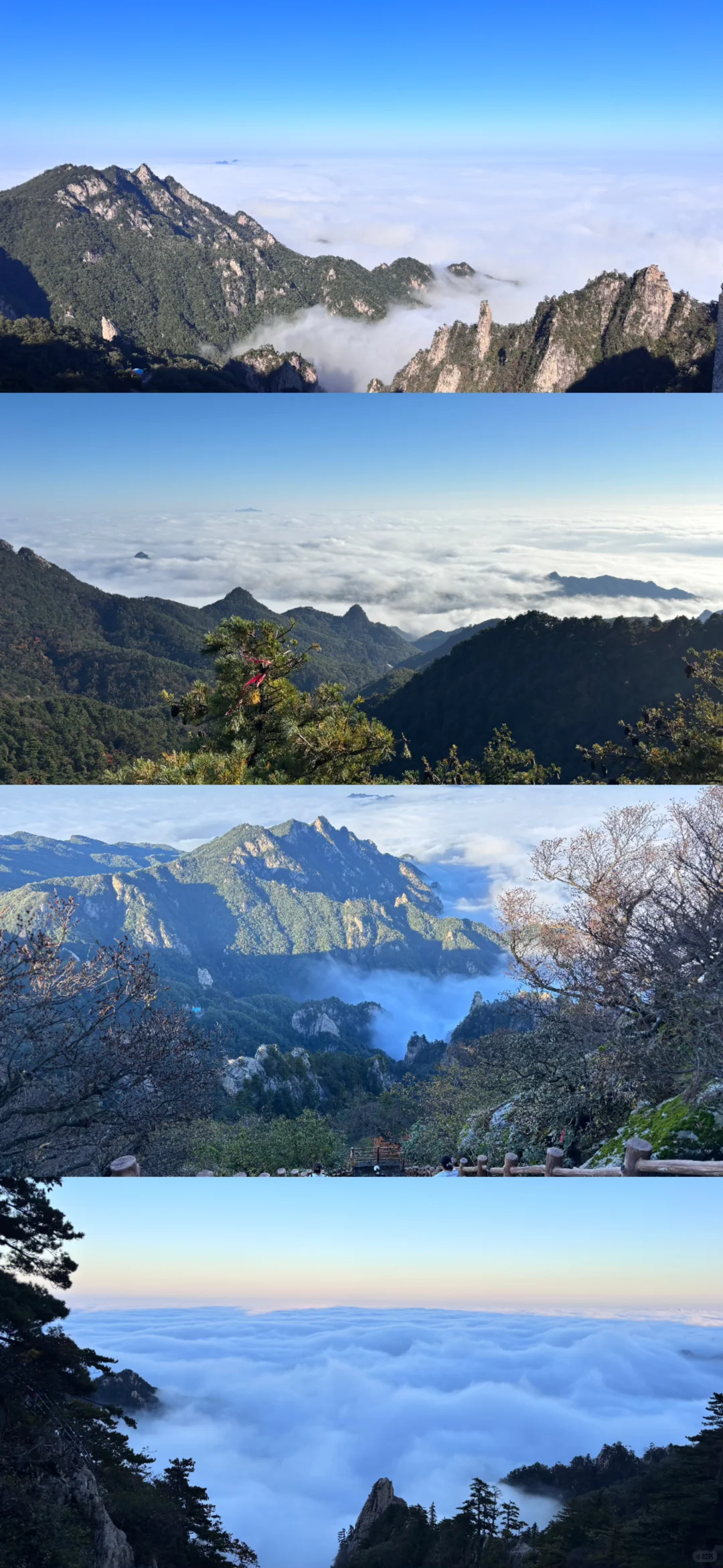 河南不宣传这个山真的糊涂！没有热度但绝美