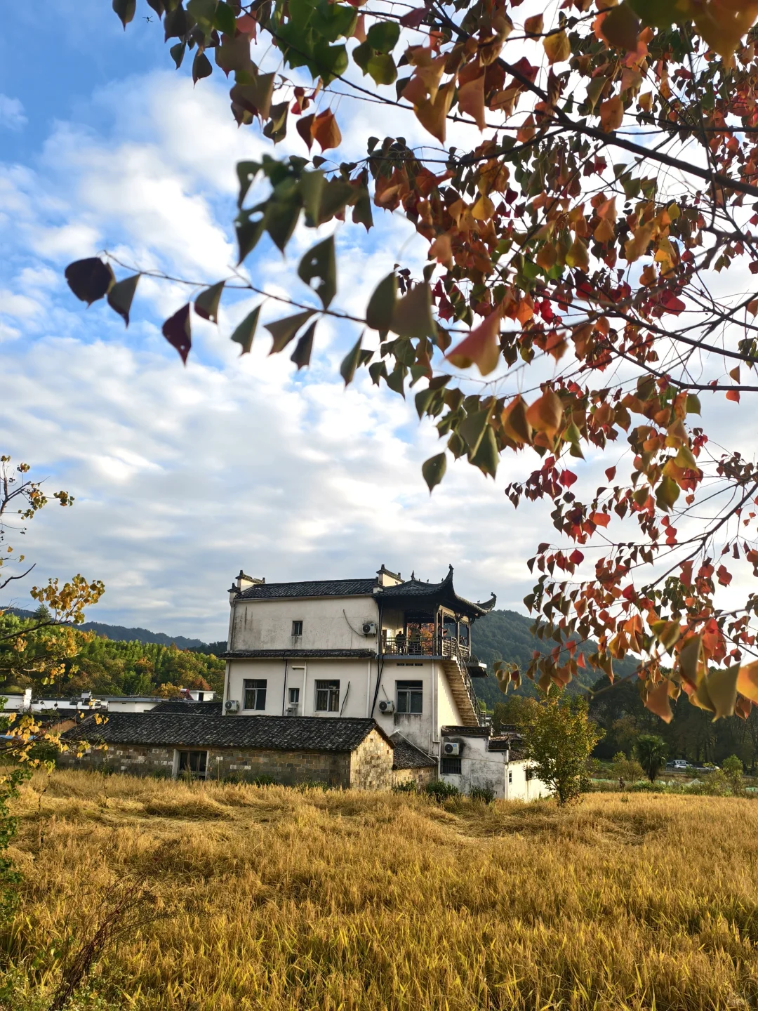 塔川的秋色美翻天～手机原图直出