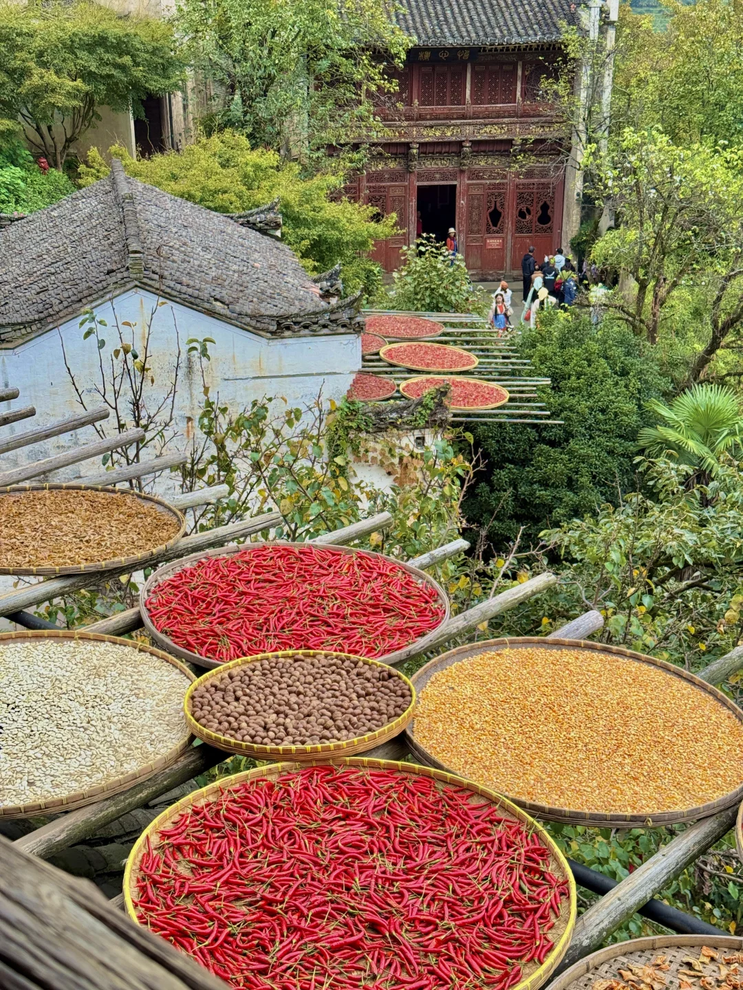 🍂篁岭秋天实况！18张图放不下太美了（附攻略