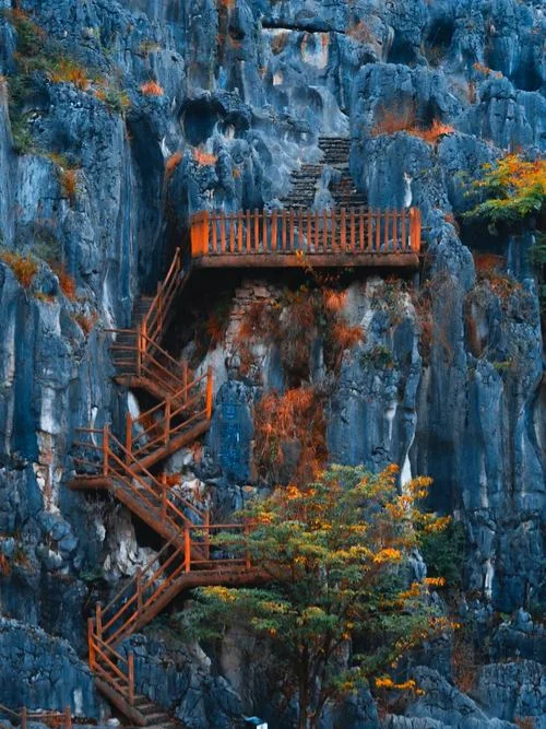 四川秋假，这些景区限时免门票（二）🐼