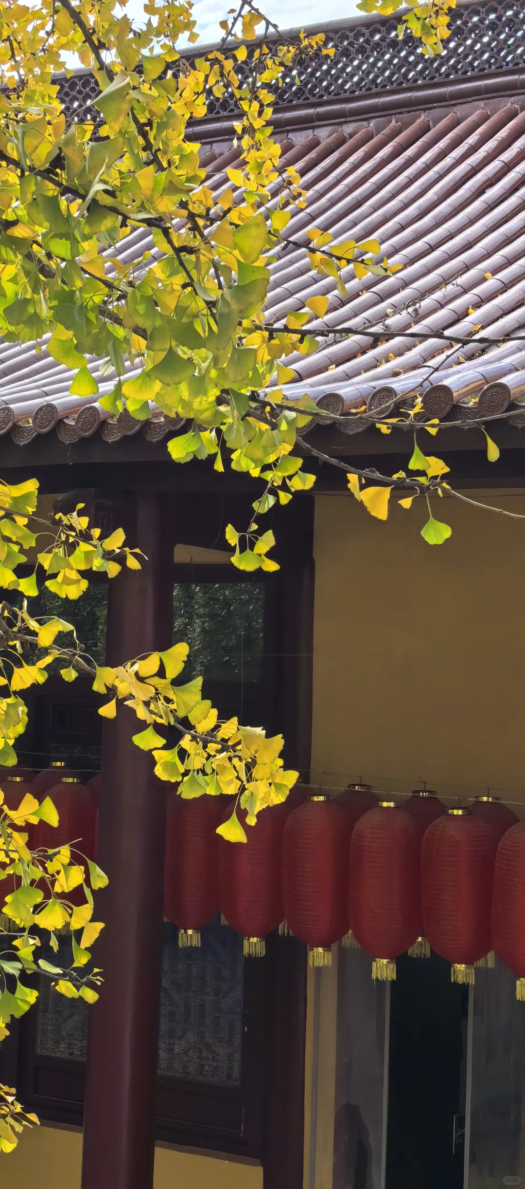 南山景区大裂谷小环线（免门票版）