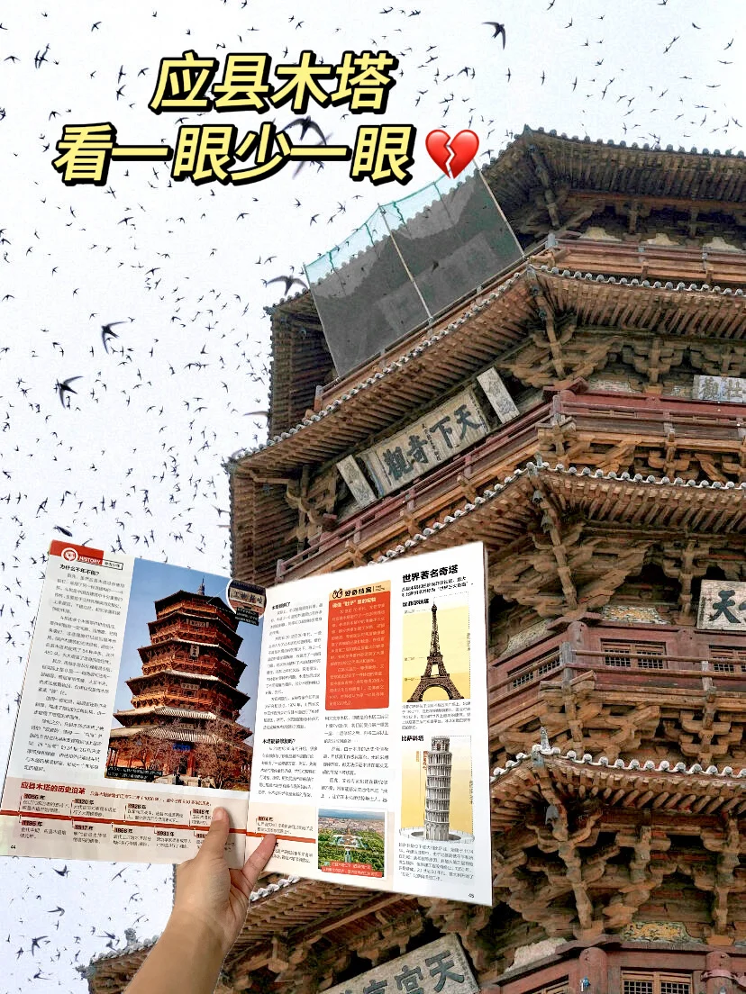 “应县木塔，一座没人能救的木塔。”