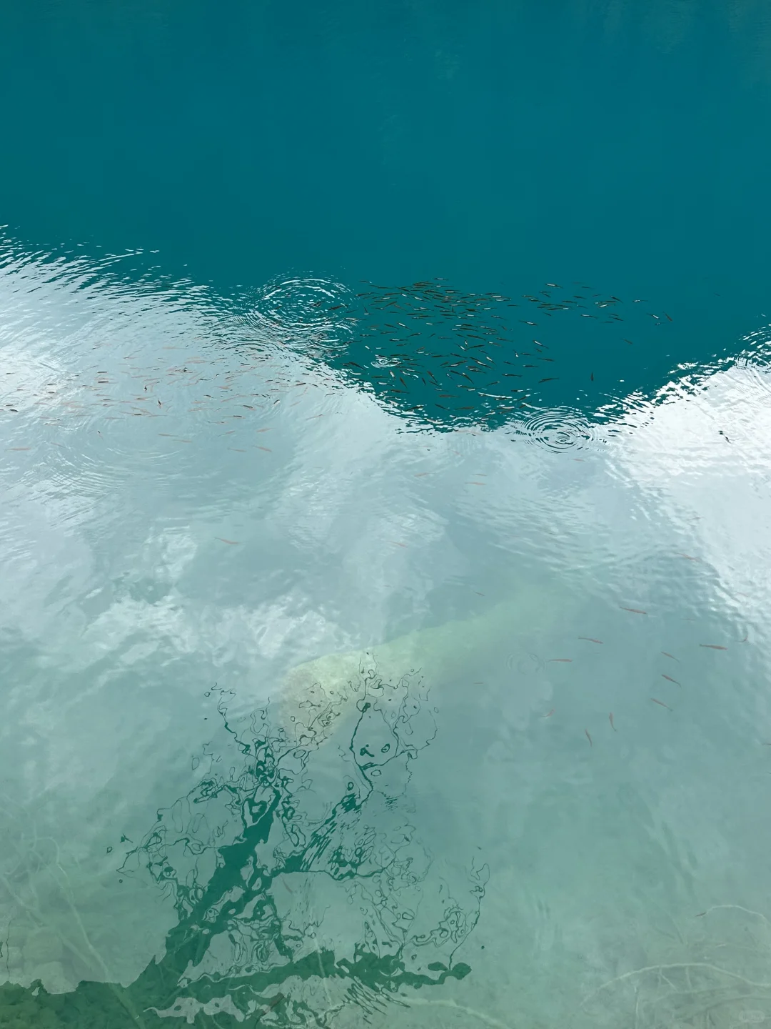 这个地方，你绝对不能错过！