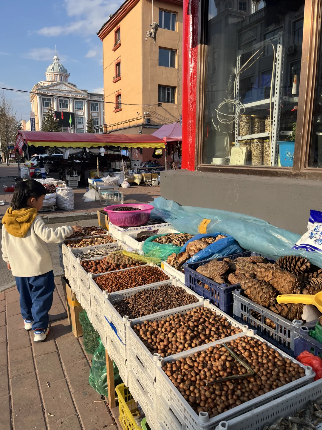 这里‼️ 所有的故事都围绕着“最北”展开