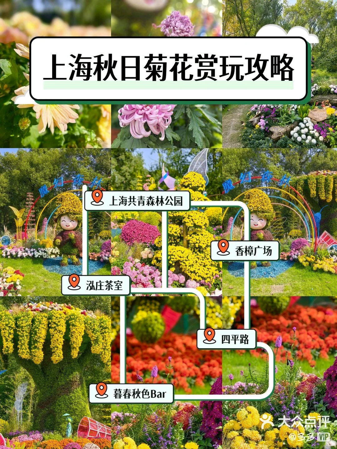 共青森林公园菊花展赏玩全攻略