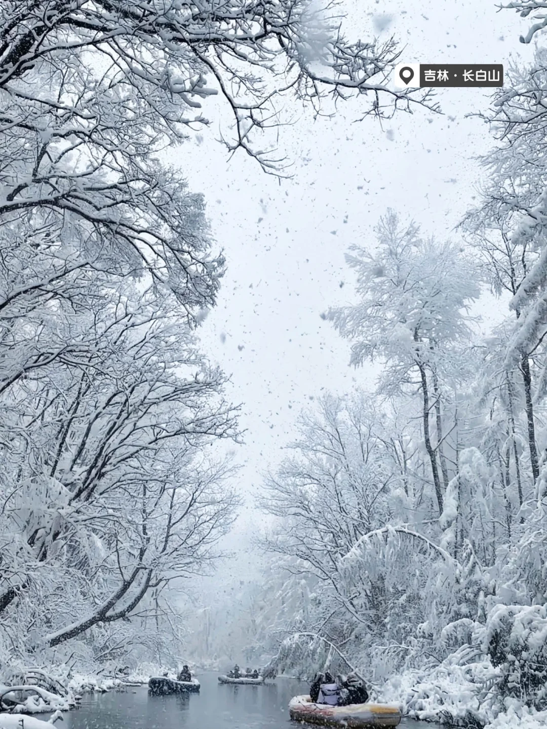 国内赏雪地图❄️11月-2月最佳旅行地合集！