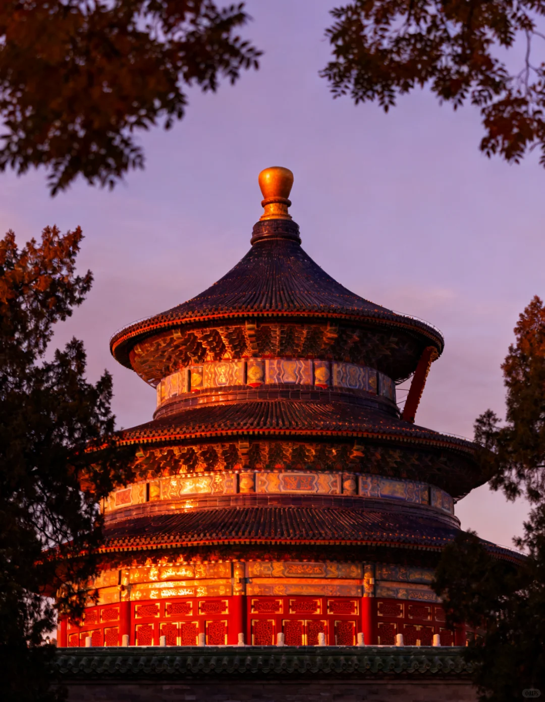 北京旅游新发现 | 799太可了！