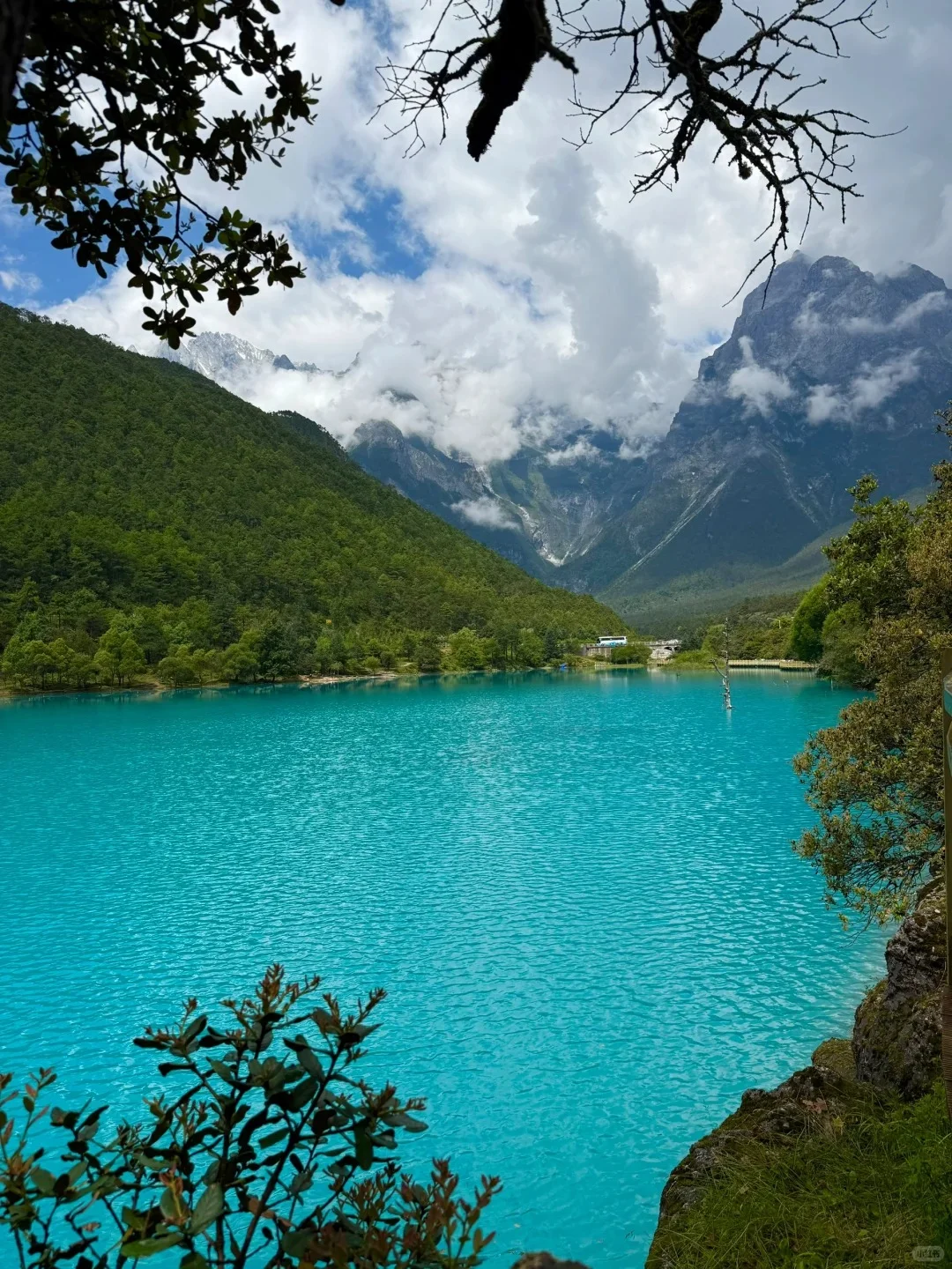 纯玩无套路‼️玉龙雪山一日游200+一价全含