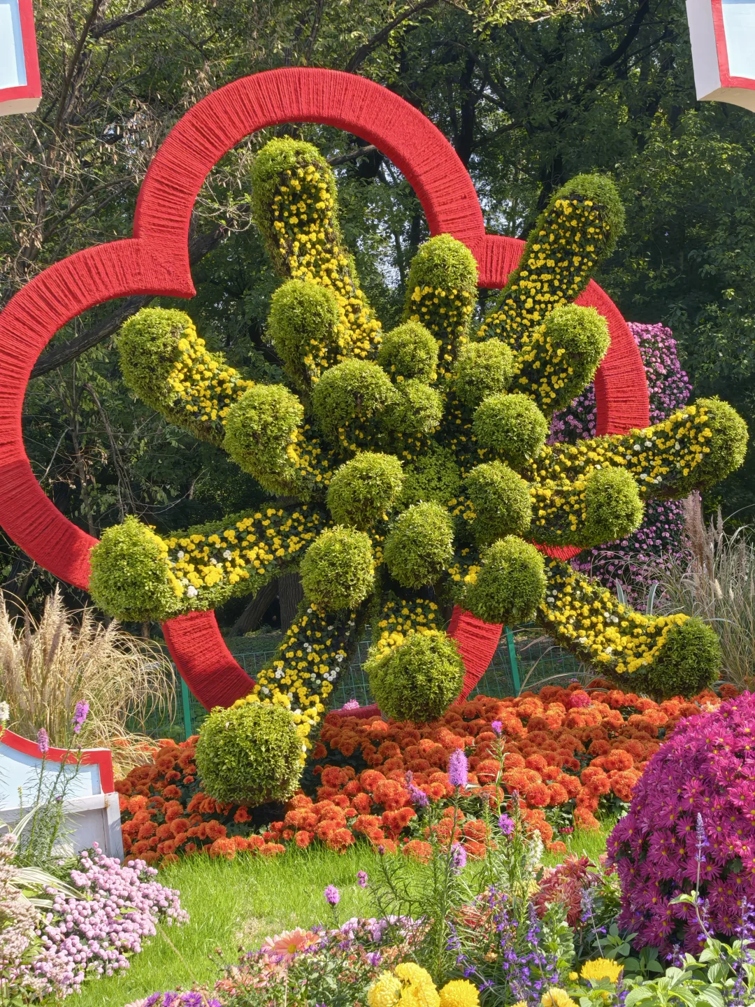 共青森林公园菊花展赏玩全攻略