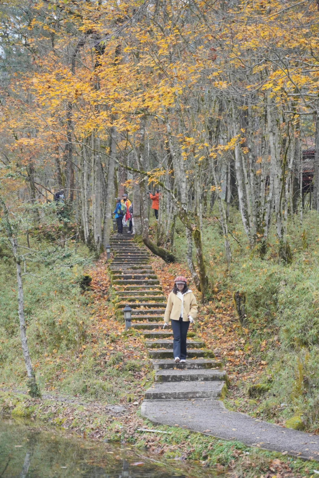 11.13喇叭河一日东西线超实用游玩攻略