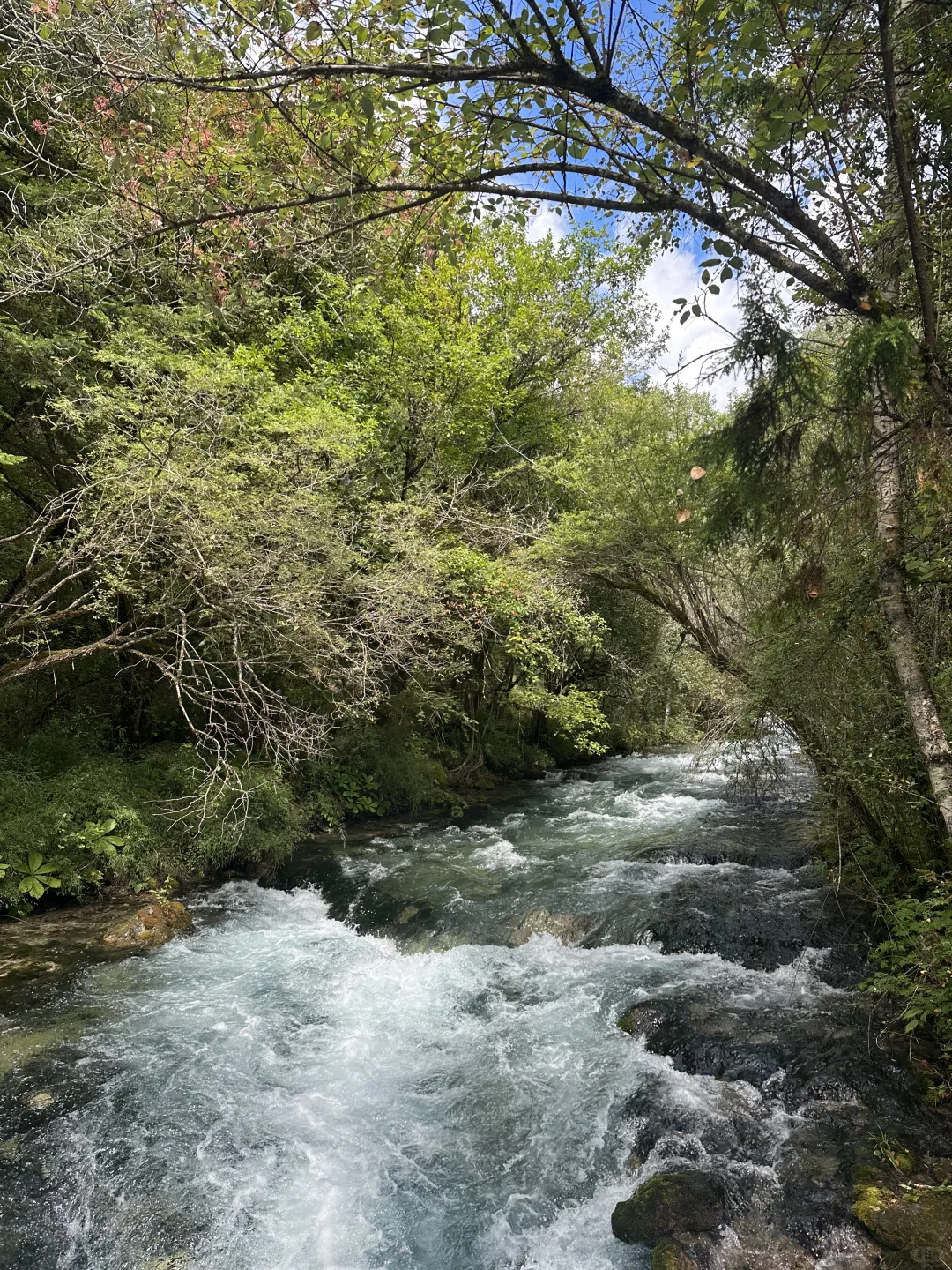这个地方，你绝对不能错过！