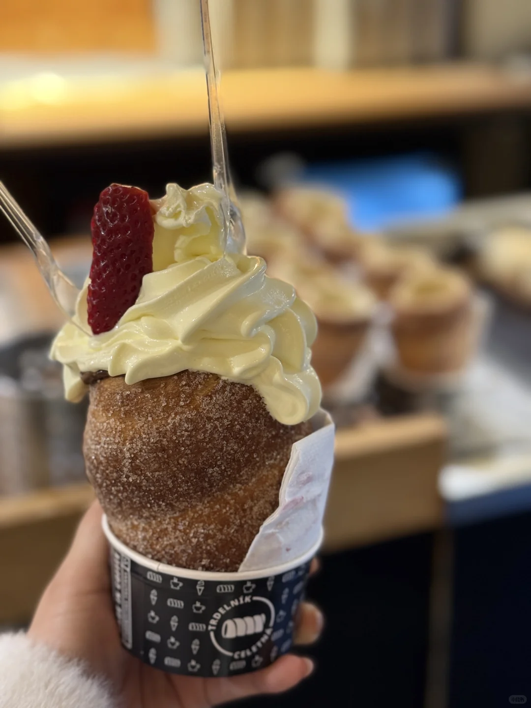 中欧四国🇨🇿🇭🇺🇸🇰🇦🇹速通手册