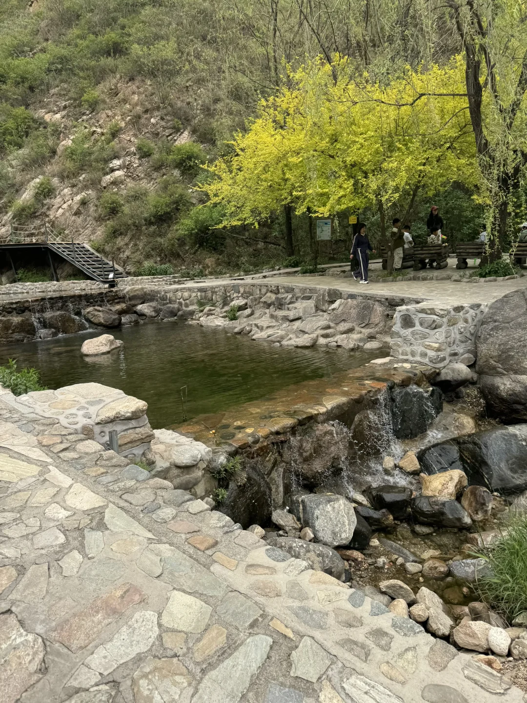 🌼石家庄漫山花溪谷 | 🌟🌟