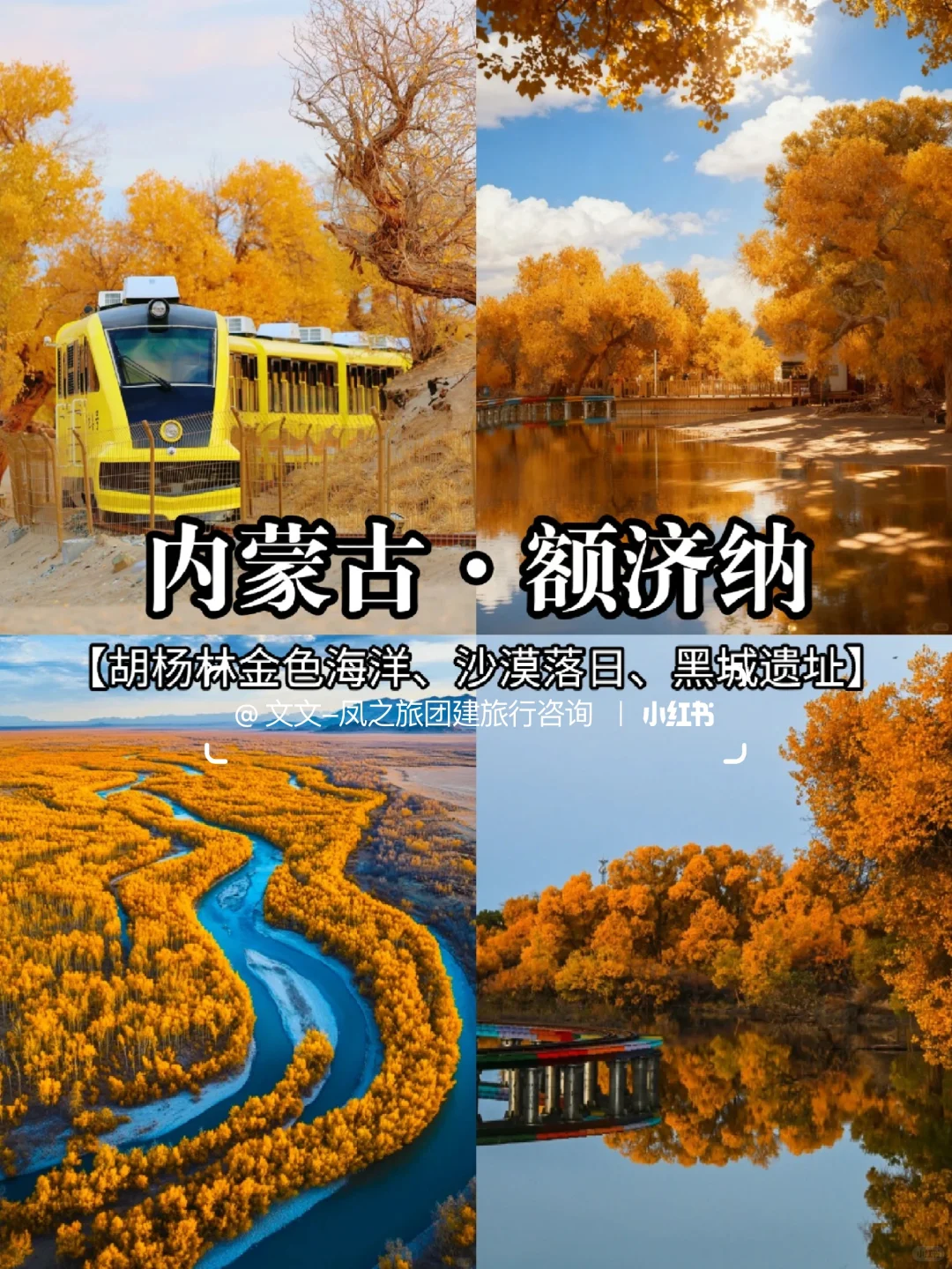 秋冬日限定版🍁10-12月国内赏秋地推荐