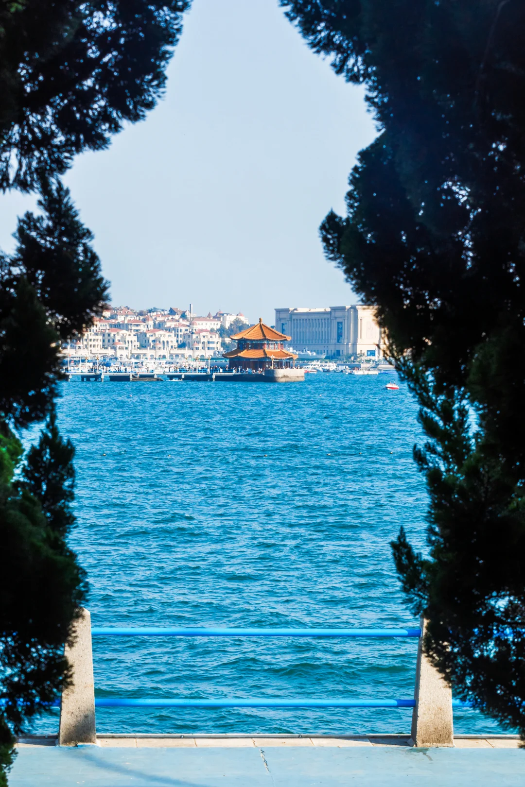 11月旅行✈️淡季青岛是人间理想🌊保姆级攻略