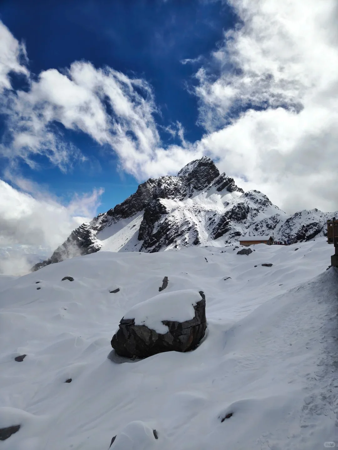 玉龙雪山纯玩一日游｜一价全含无套路🏔️
