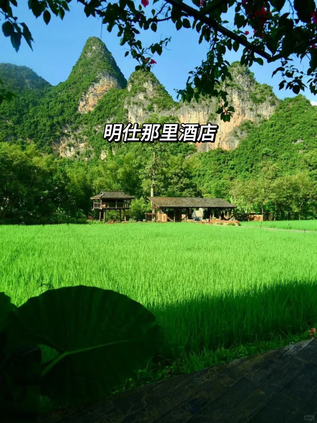 10-11月的崇左，真的和瑞士一样震撼！！！ 真的