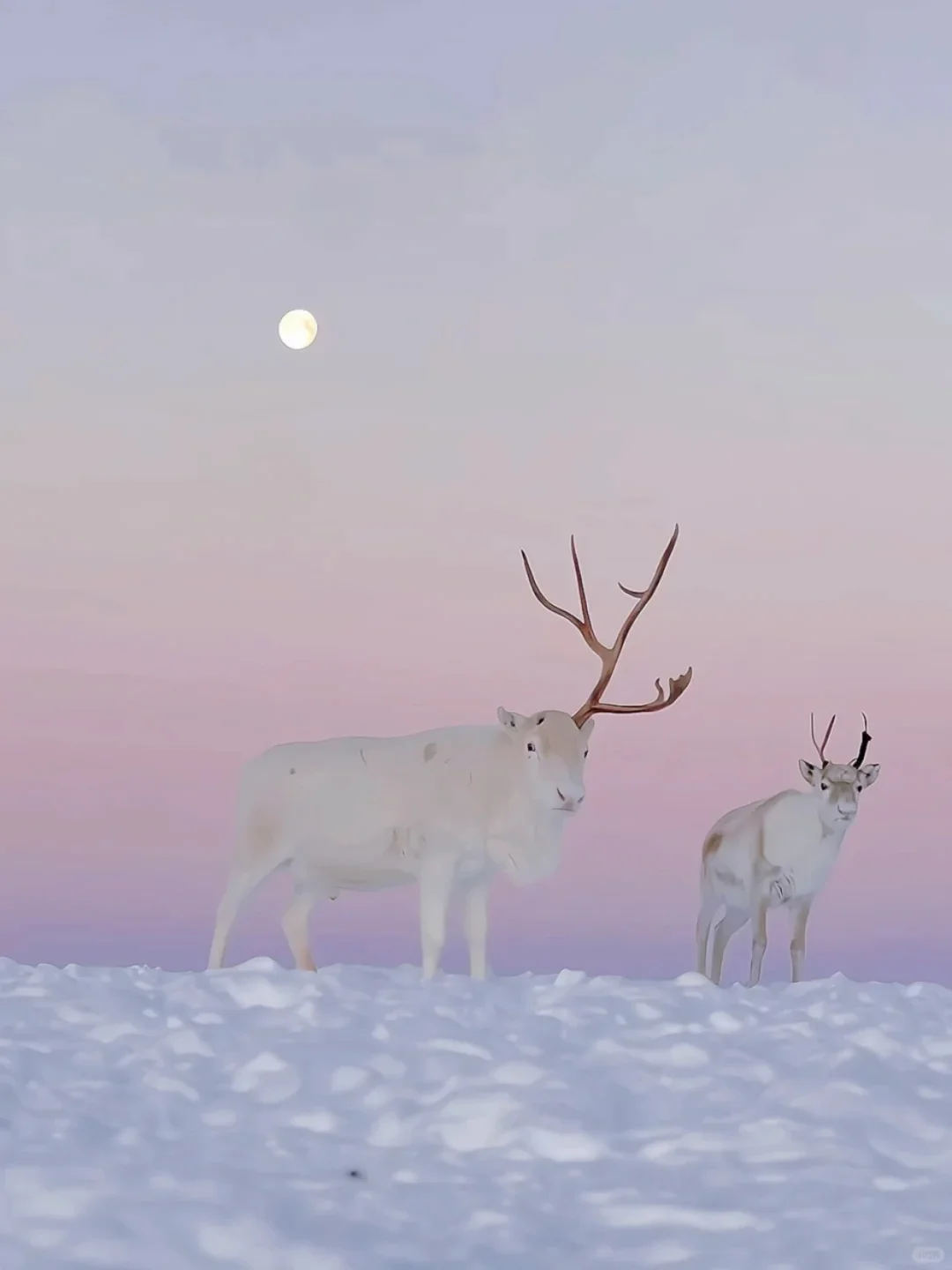 这辈子必去的九个国家❗