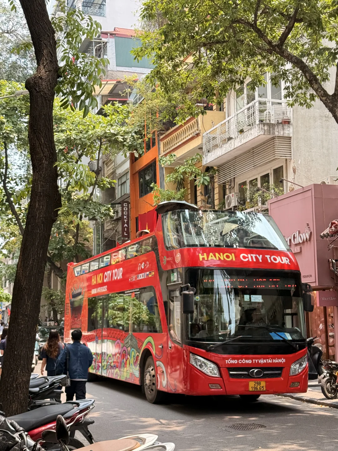 2000块穷游越南!4天3夜爽吃,速度抄作业!🤩