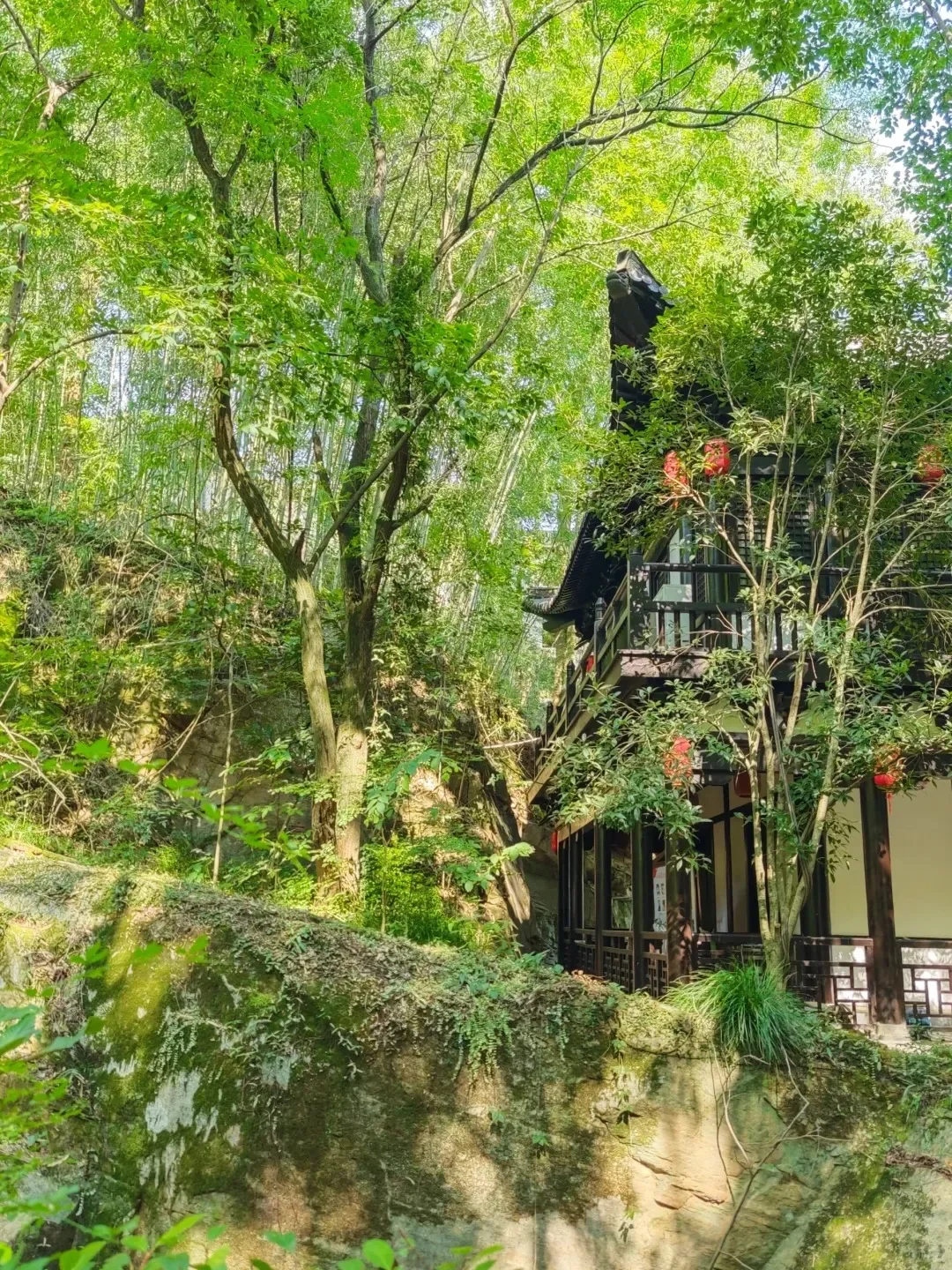 谁懂啊！天柱山的晴日真的美到失语✨