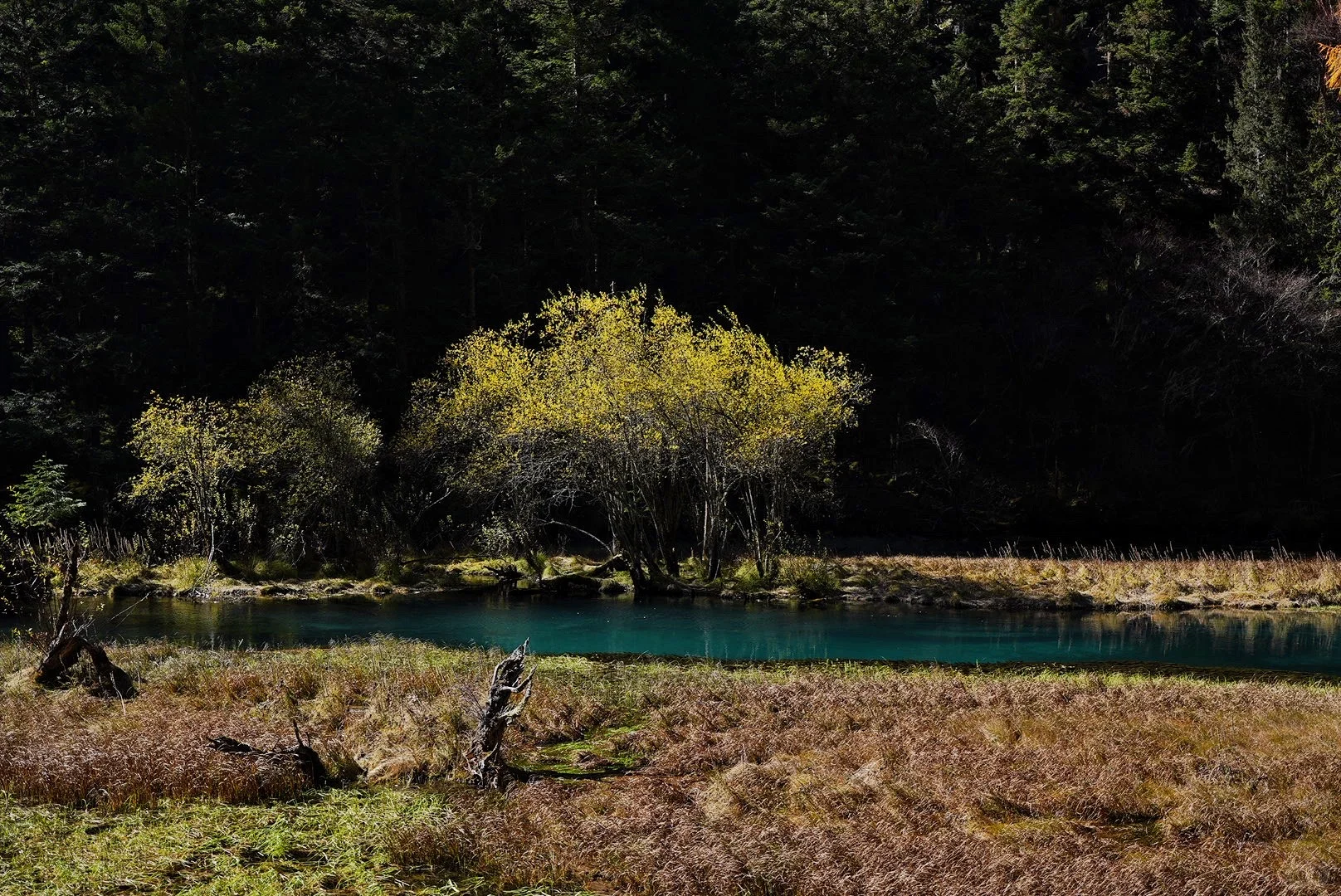 其实玩好九寨沟的精髓是松弛