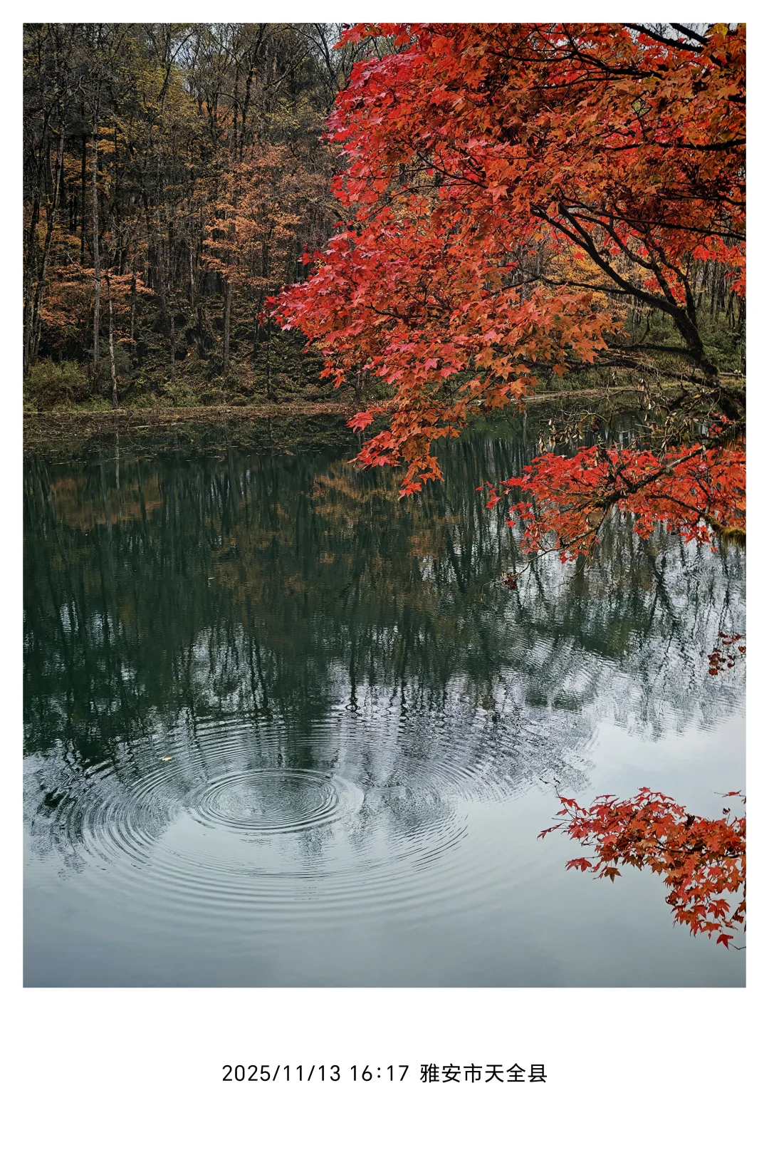 11.13喇叭河一日东西线超实用游玩攻略