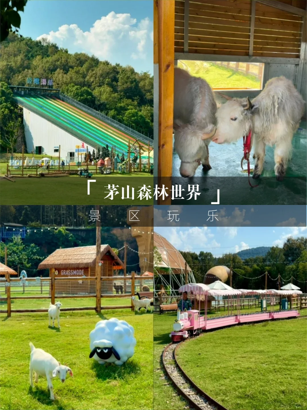 带娃闯进童话乐园🐼茅山森林世界跟风成功