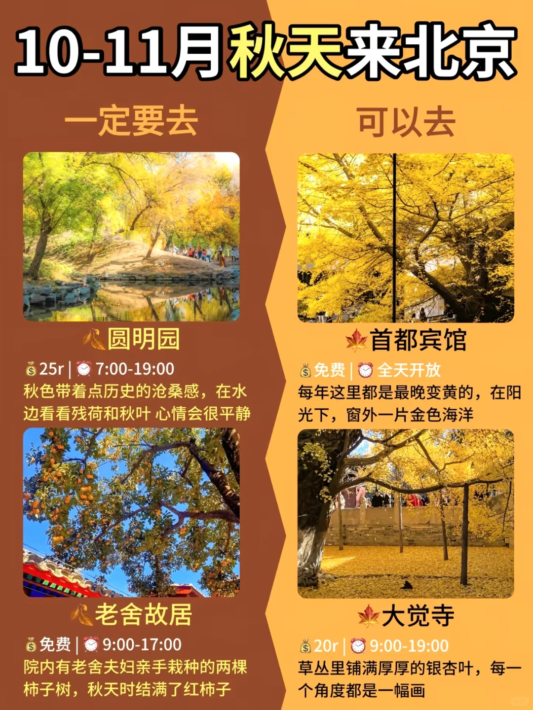 北京进入秋日油画模式