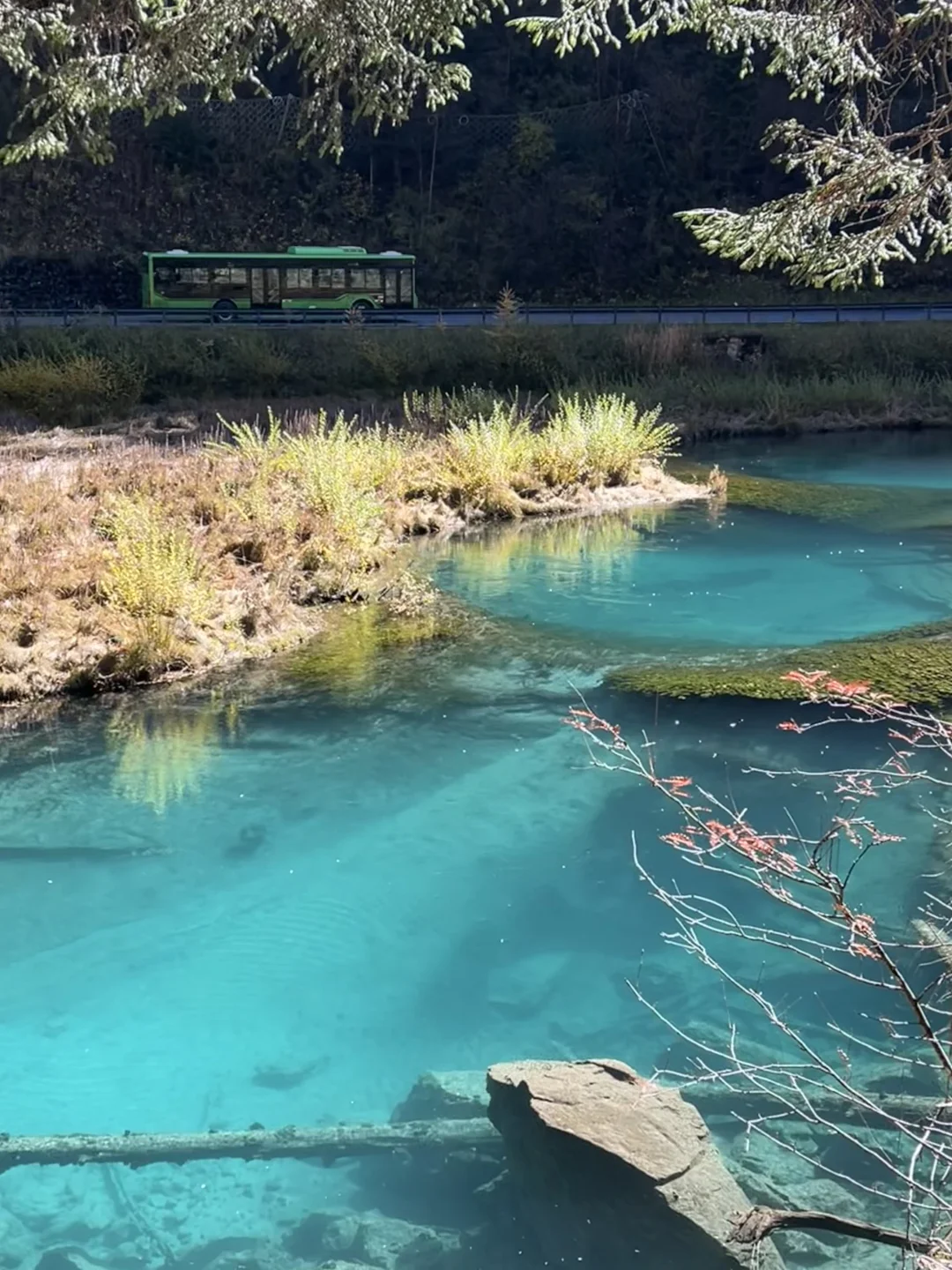 11.4九寨沟很美 但此生不会再去第二次🍂