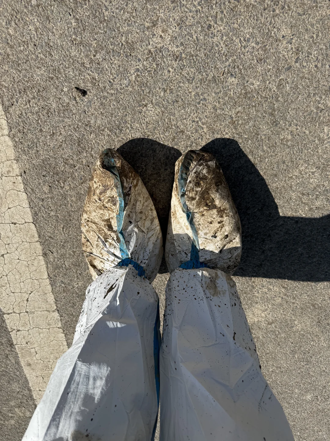 带娃勇闯东北之9️⃣长白山二道白河玩一天