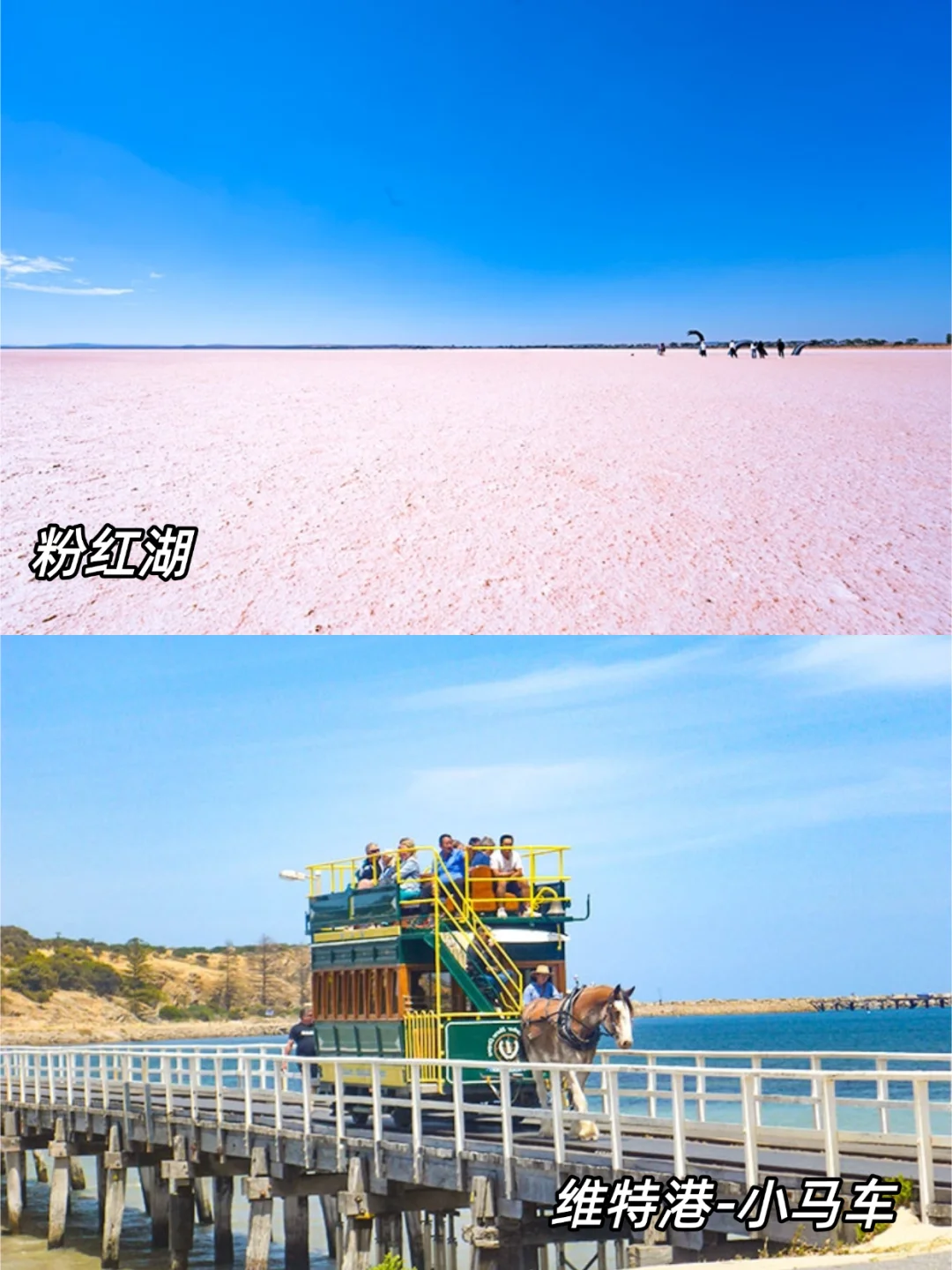 🇦🇺南澳攻略｜10大必玩景点实用攻略