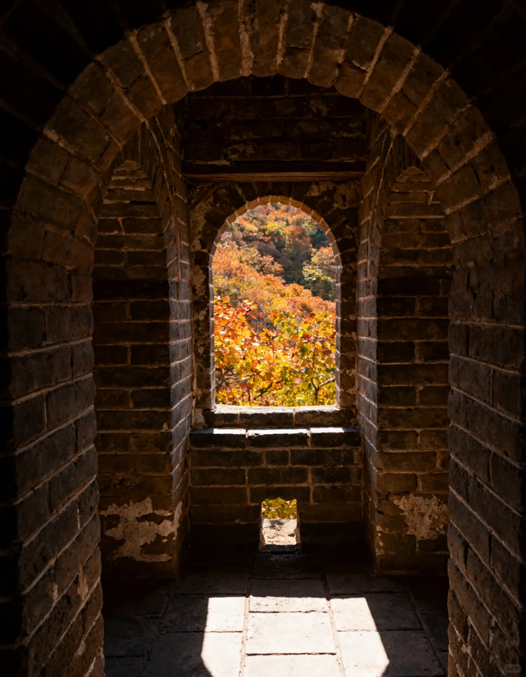 北京旅游新发现 | 799太可了！